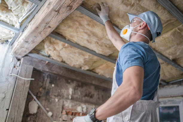 Best Geographic-Specific Insulation Services in Tiger Point, FL