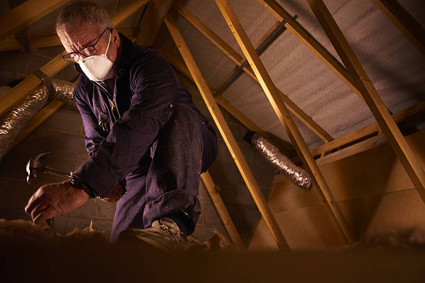 Best Residential Insulation in Tiger Point, FL