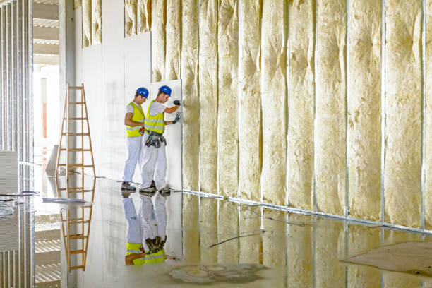Best Eco-Friendly Insulation in Tiger Point, FL